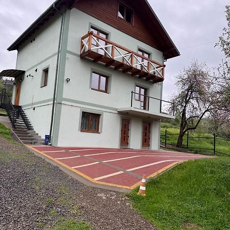 Villa Золота Рибка à Slavsko Extérieur photo