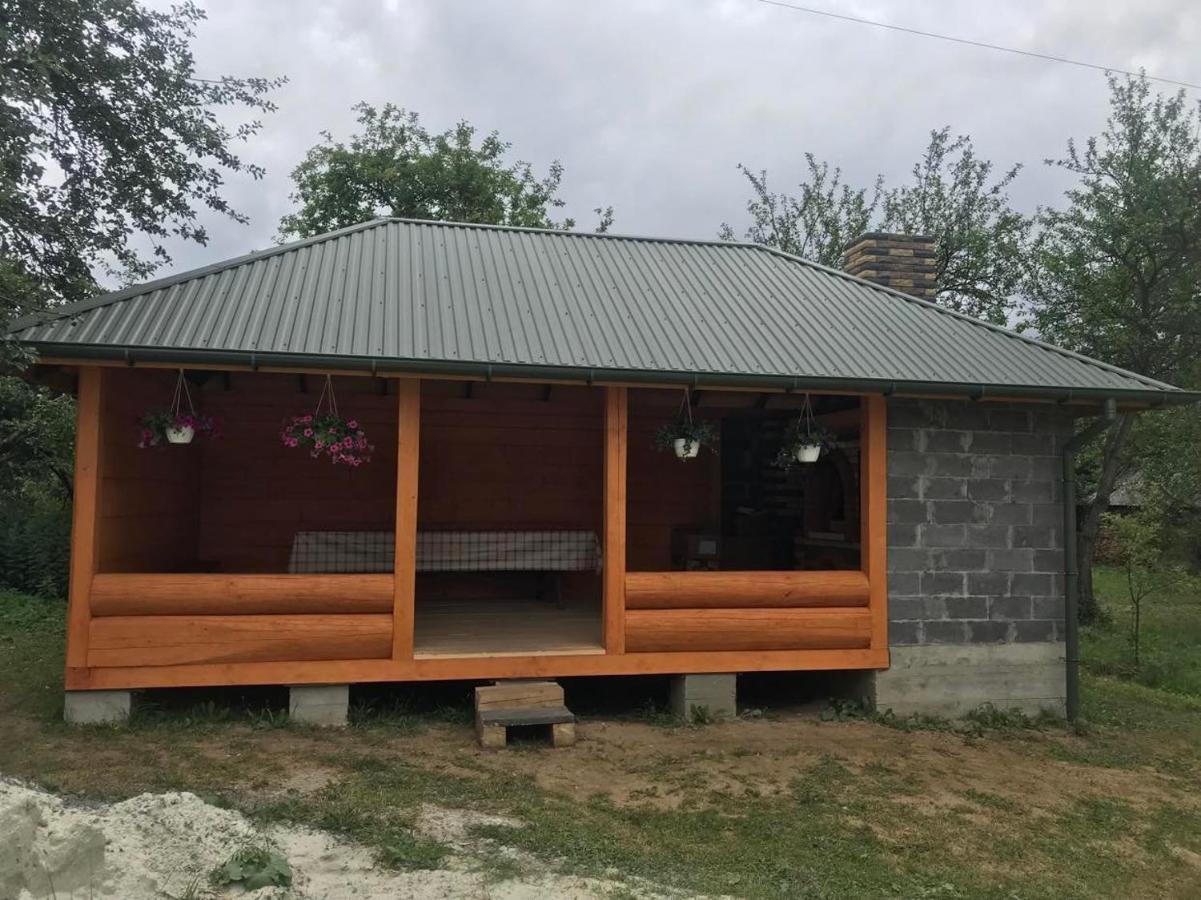 Villa Золота Рибка à Slavsko Extérieur photo