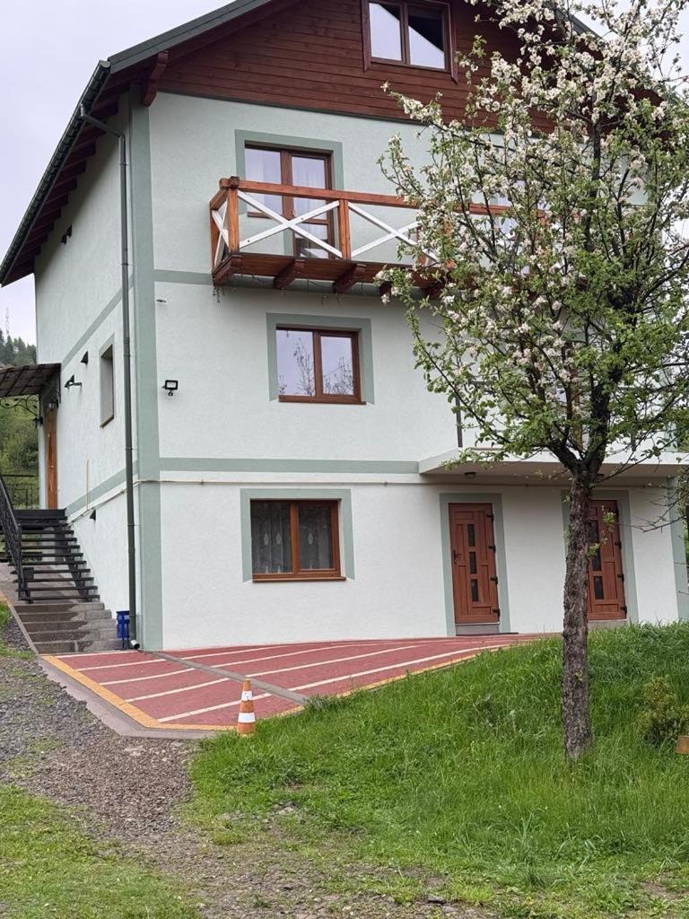 Villa Золота Рибка à Slavsko Extérieur photo